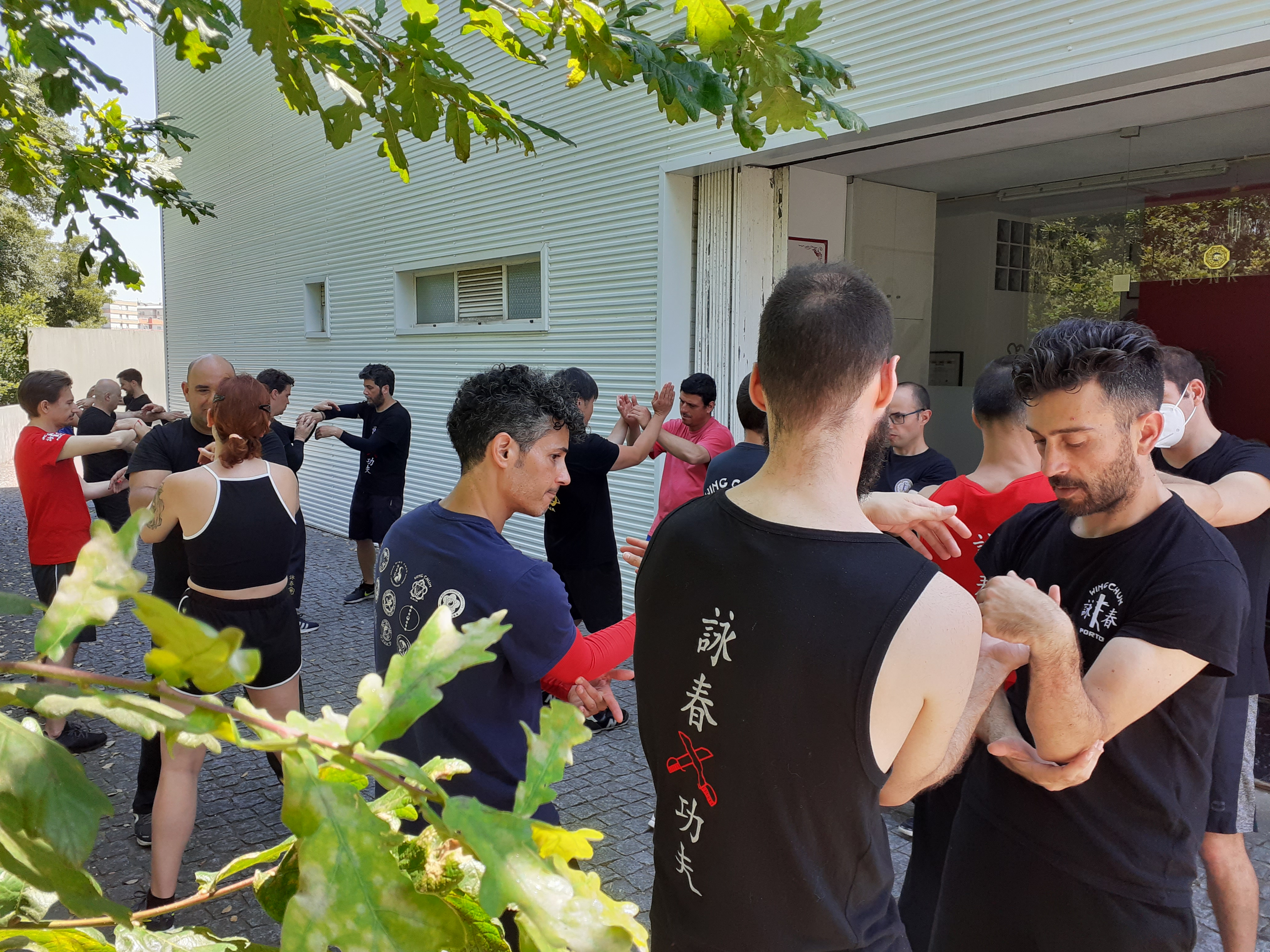 Estágios internacionais de Wing Chun
